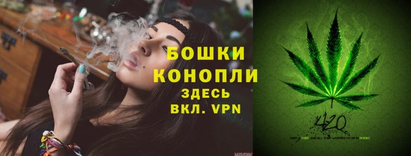 бошки Арсеньев