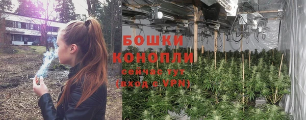 бошки Арсеньев
