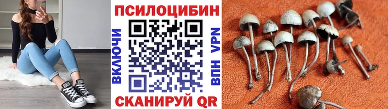 Галлюциногенные грибы мухоморы  Купить  Балахна 