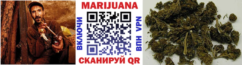 Конопля сатива Купить где Балахна